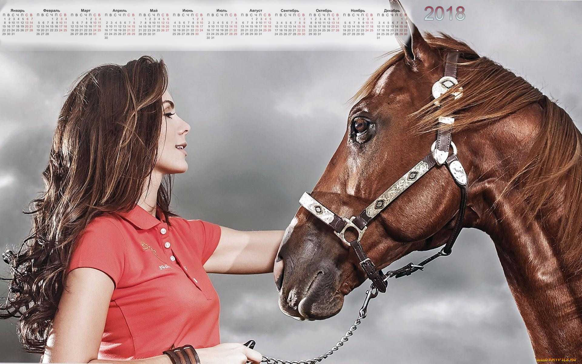 Сонник видеть лошадь. Красивая девушка на лошади. Девушка с лошадью. Человек на лошади. Красивая женщина на лошади.